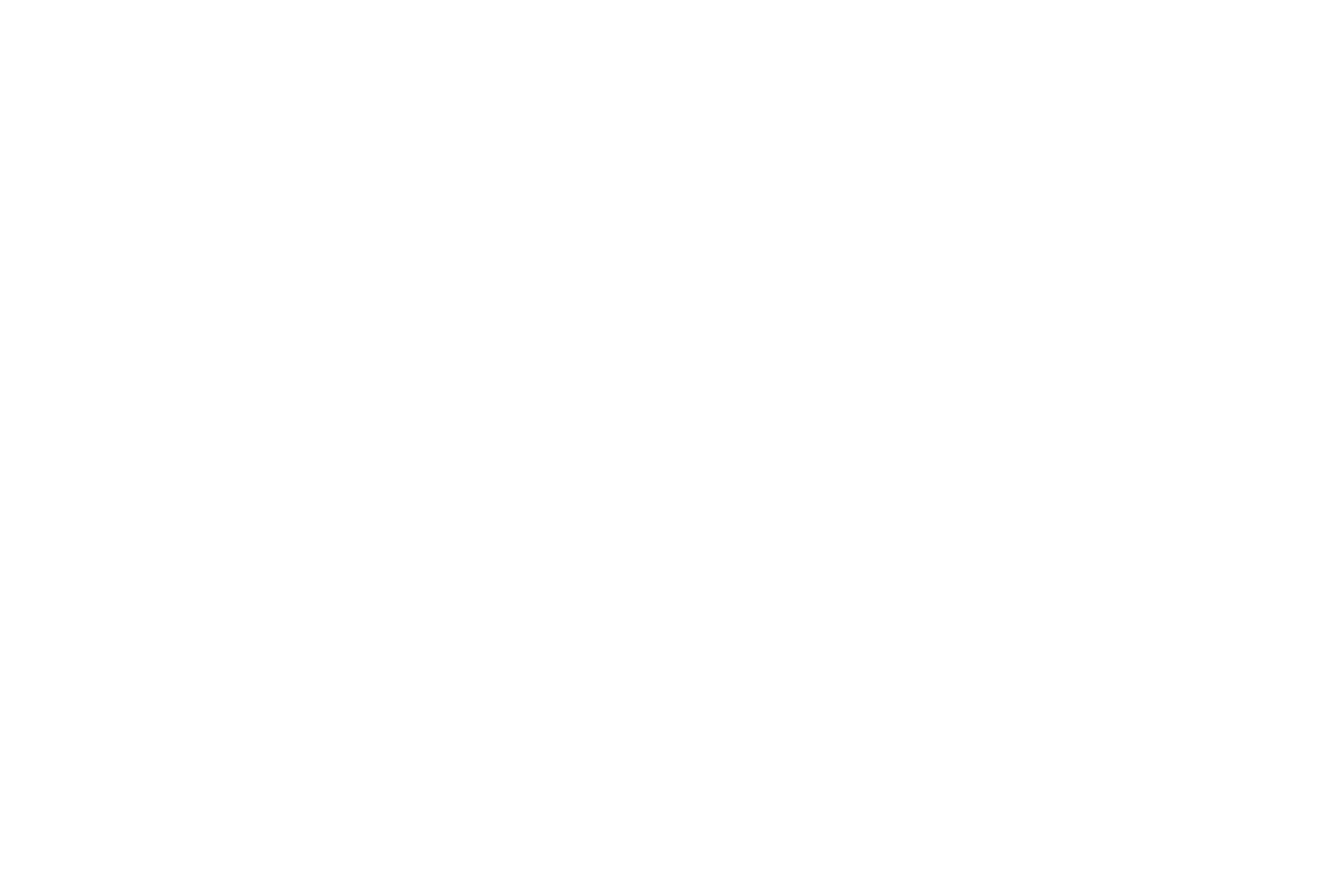 B.S.L. Sicherheit GmbH Logo